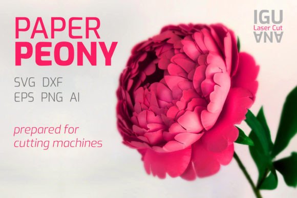 Download 3d Paper Flowers Peony SVG Template DIY - Paper flowers Collection